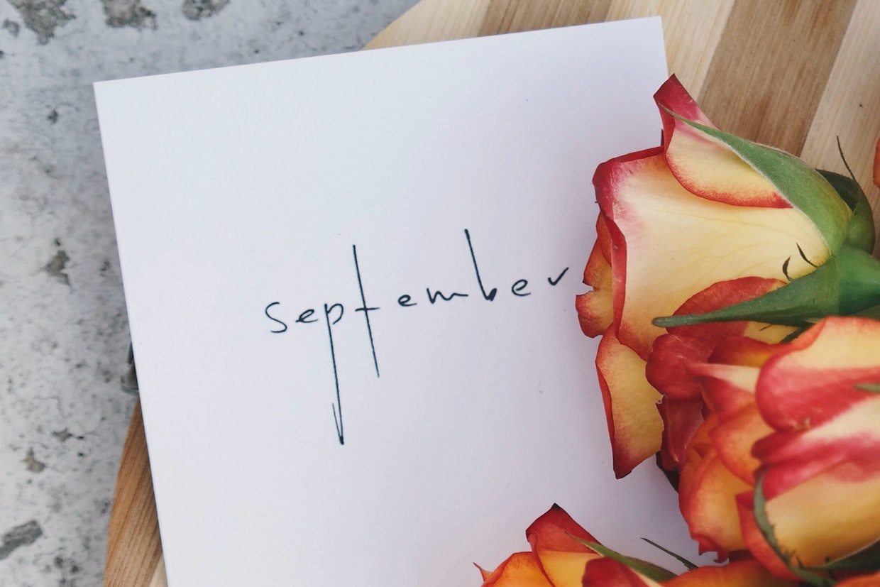 bee-common-widget-bar.row-alt